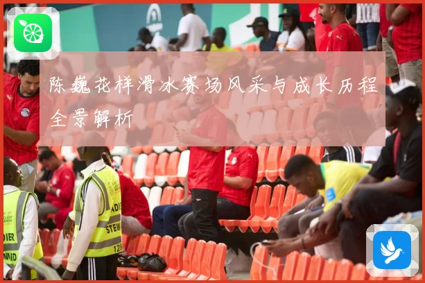 陈巍花样滑冰赛场风采与成长历程全景解析