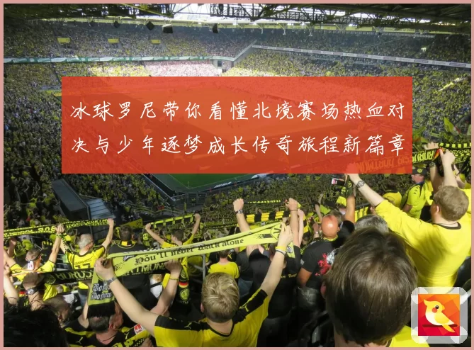 冰球罗尼带你看懂北境赛场热血对决与少年逐梦成长传奇旅程新篇章